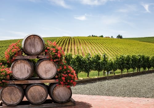 Yarra Valley vin och mattur